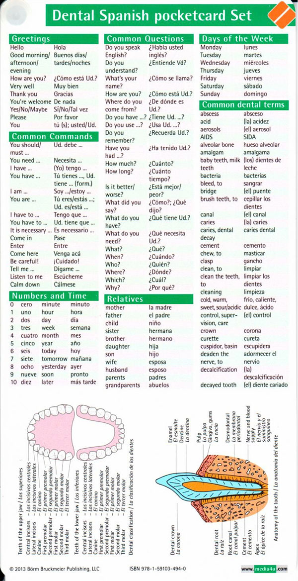 for dentists phrases english pocketcard Dental dental Spanish Set  translations Spanish