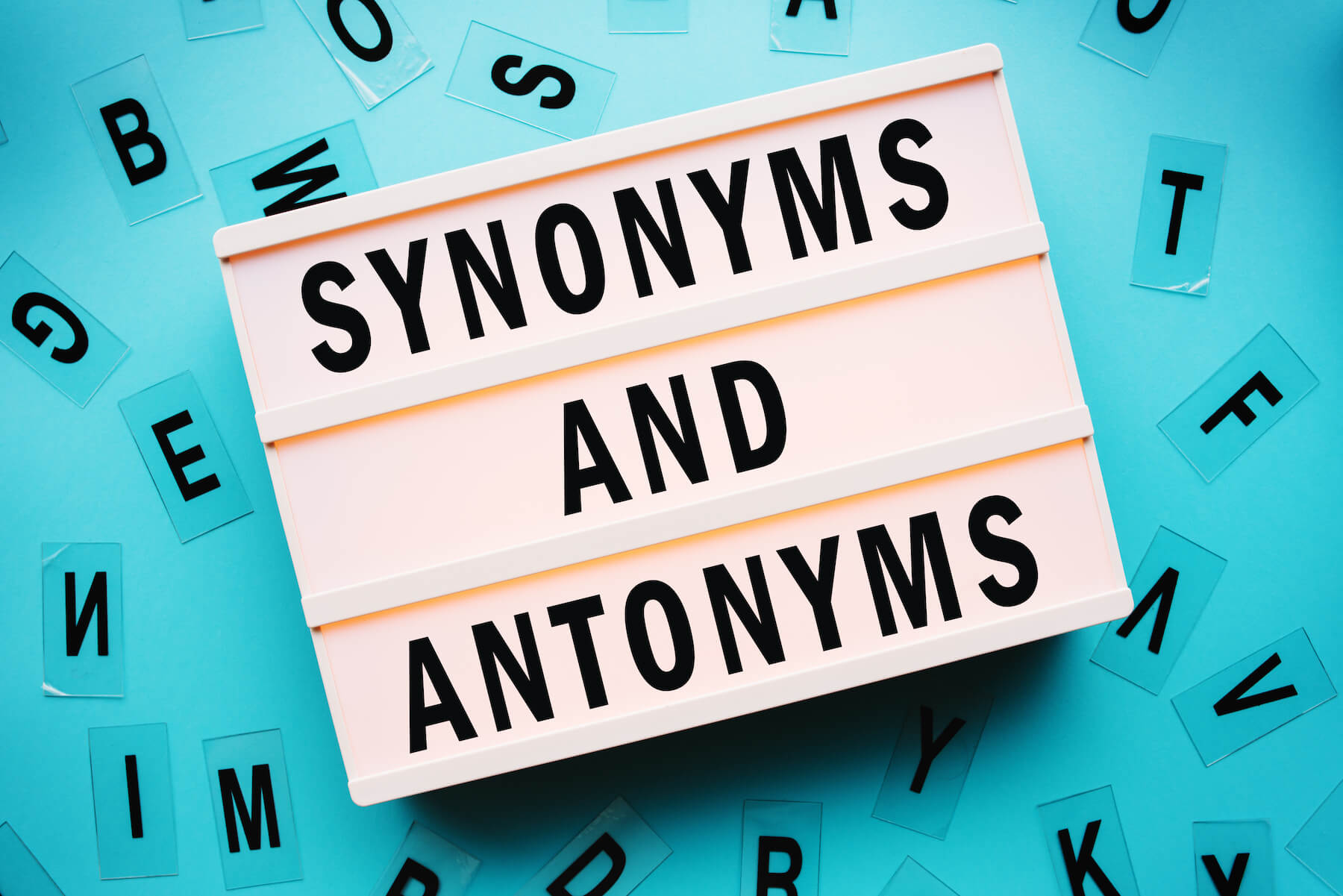 Synonyms and Antonyms 