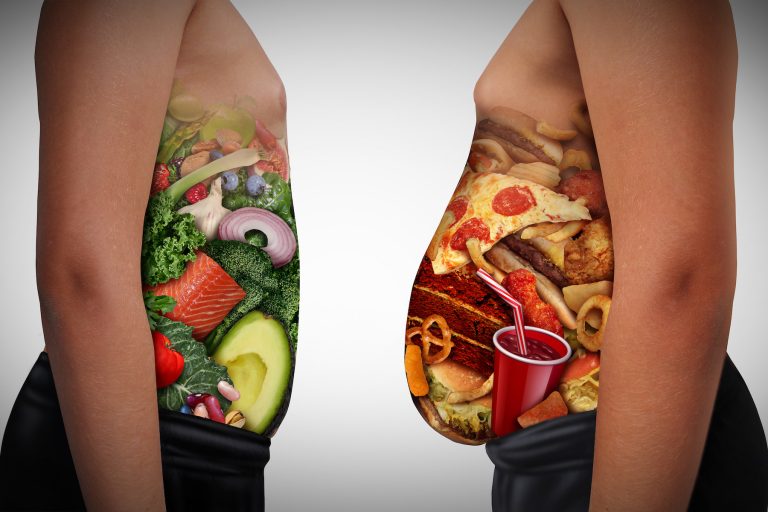 My Plate in Spanish Mi Plato