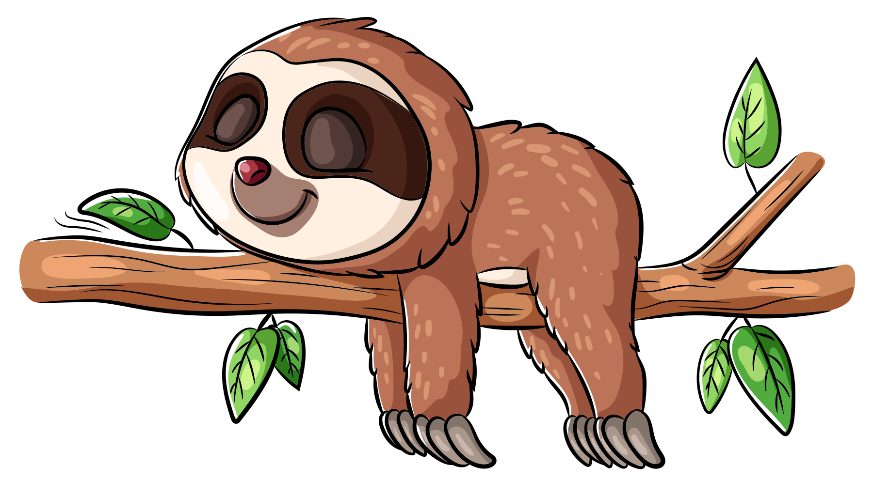 Adverbs in Spanish - Sloth