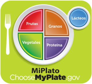 My Plate in Spanish Mi Plato