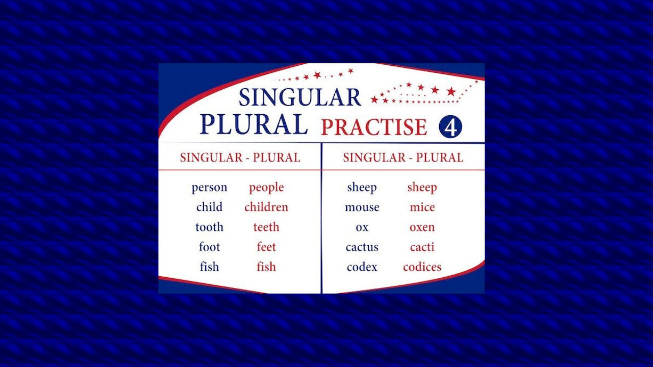 Singular and Plural Nouns  School Lead