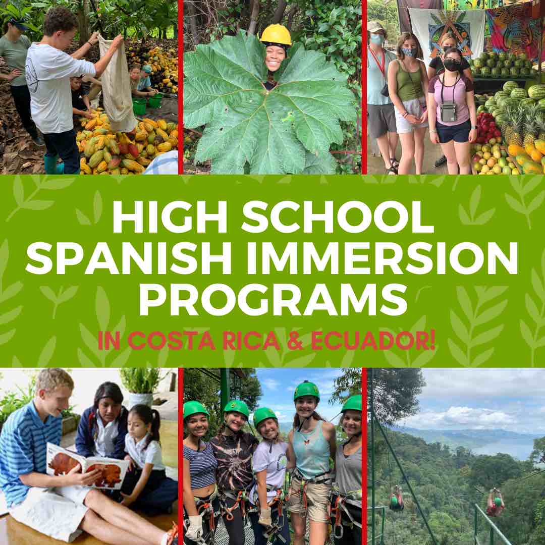 High School Spanish Immersion