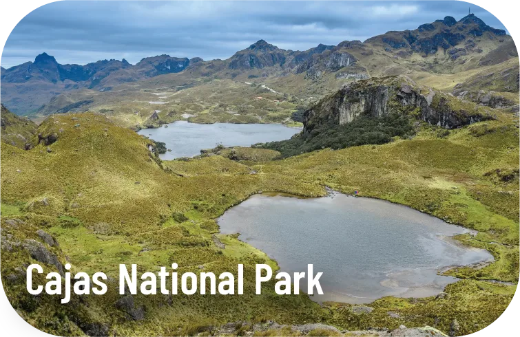 Cajas National Park - Spanish Immersion Trips - Common Ground International