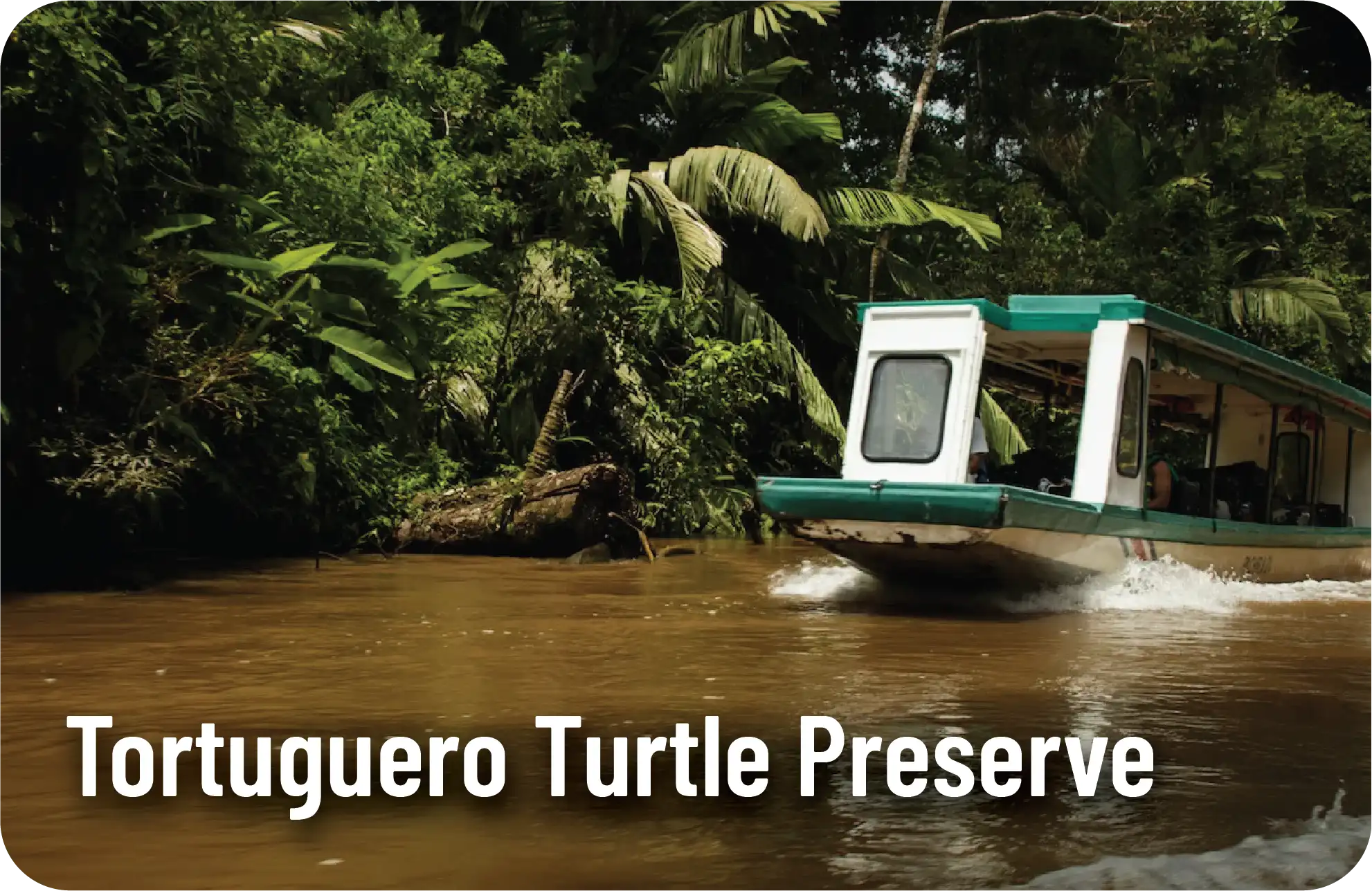 Tortuguero Turtle Preserve - Spanish Immersion Trips - Common Ground International