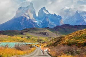 Spanish Immersion in Mendoza Argentina & Patagonia Chile