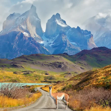 Spanish Immersion in Mendoza Argentina & Patagonia Chile
