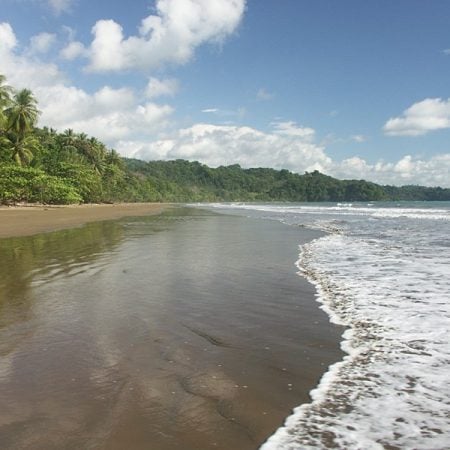 Bahía Ballena - Beach & National Park