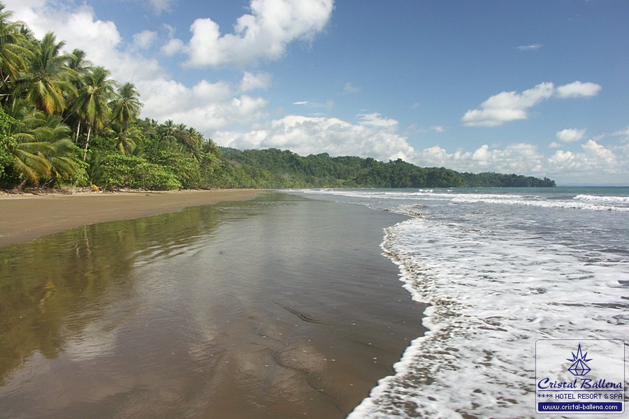 Bahía Ballena - Beach & National Park
